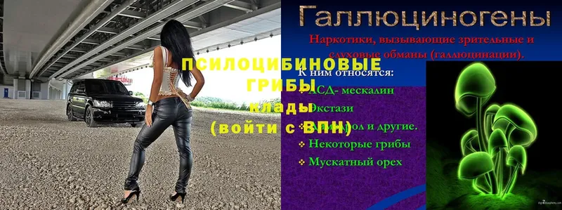 Галлюциногенные грибы ЛСД  что такое   Лукоянов 